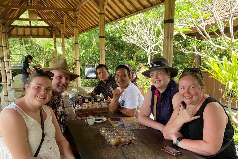 Ubud: Private Half-Day Tour Rice Terrace, Temple & Waterfall Private Half-Day Tour (With Entrance Tickets)
