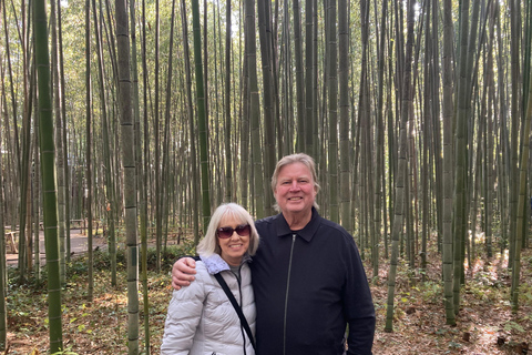 Kyoto: Private Tour with Licensed Guide & Vehicle Regular Car (Up to 2)