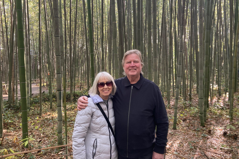 Kyoto: Private Tour with Licensed Guide & Vehicle Regular Car (Up to 2)