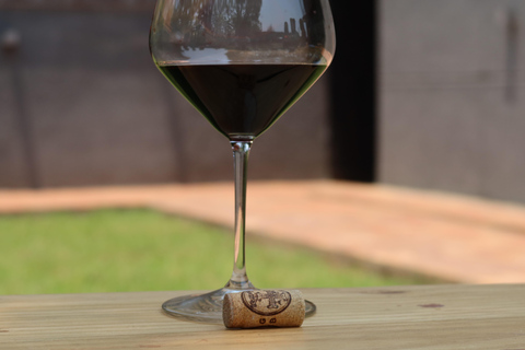 基加利：品酒体验全球葡萄品种深度解析