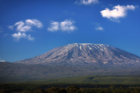 Całodniowa wycieczka piesza i trekkingowa na górę Longonot