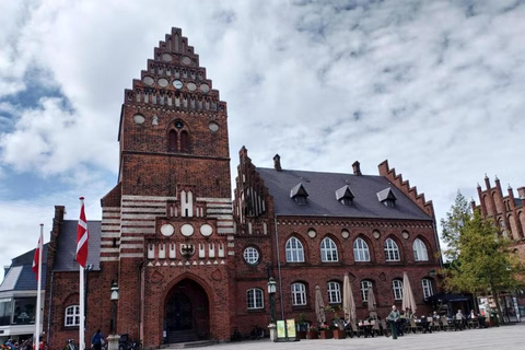 Private: Roskilde Heritage & Viking Discovery Tour