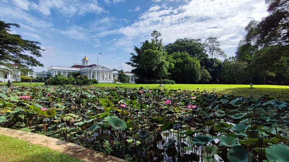 Bogor, dans le Wild Tour - Hizvo