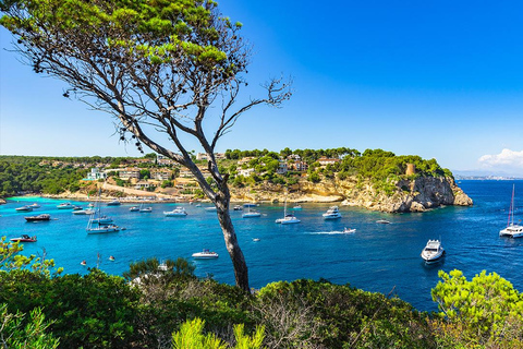 Mallorca Experience: Playa Portal Vells / Playa del MagoTour Playa Portal Vells, Cueva Portal Vells y Playa del Mago