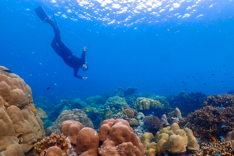 Île de Surin - Excursion avec masque et tuba