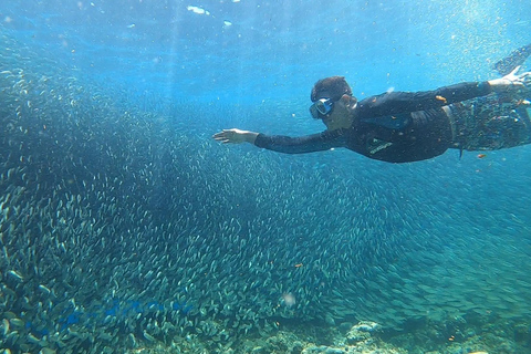 Cebu: wyspa Pescador, bieg z sardynkami i kanion KawasanCebu: Moalboal Island Hopping i Kawasan Canyoneering