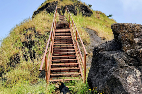 De Mumbai: trilha guiada ao Forte de Sondai com refeições e transporteDe Mumbai: trilha guiada ao forte de Sondai com refeições e traslados