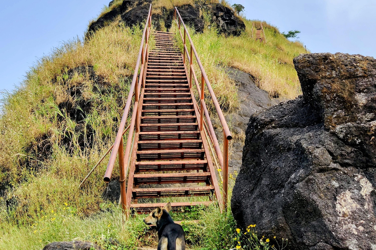 De Mumbai: trilha guiada ao Forte de Sondai com refeições e transporteDe Mumbai: trilha guiada ao forte de Sondai com refeições e traslados