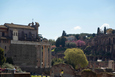 Rome: Colosseum Evening Audio Tour & Optional Arena Entry Colosseum 1st and 2nd level