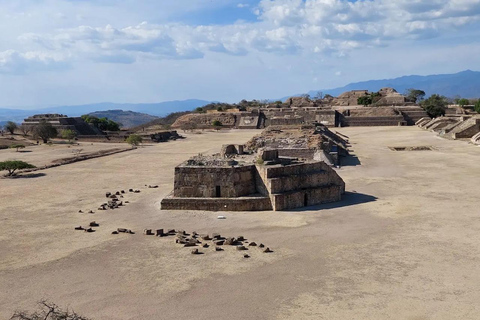 Monte Alban. Bike Tour. Archaeology, Alebrijes, and History.