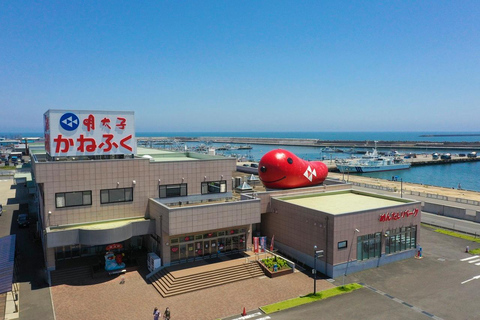 From Tokyo: Ashikaga Flower Park and Hitachi Park Tour