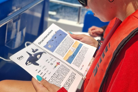 New: Into the Wild - 3H w/Marine Biologists - dolphins &more