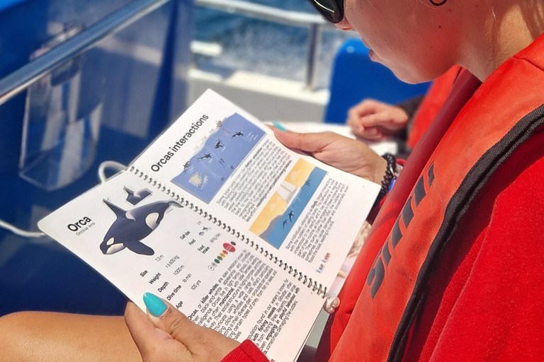 New: Into the Wild - 3H w/Marine Biologists - dolphins &more