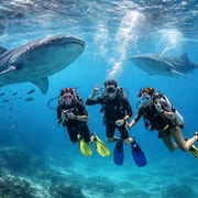 Cebu: Oslob Whale Shark Scuba Dive & Tumalog Falls Trip