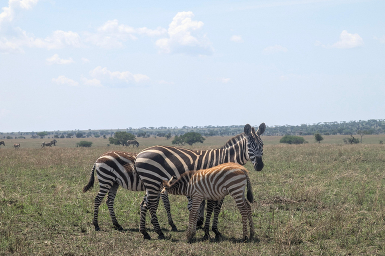 Tansania Wild Explorer