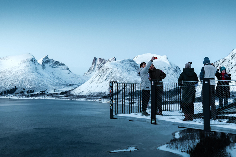 Tromsø: Senja Fjord & Landscape Tour in Chinese Small-Group