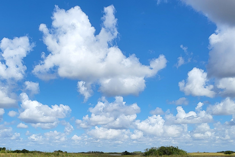 Everglades: båttur med transport och entré ingår