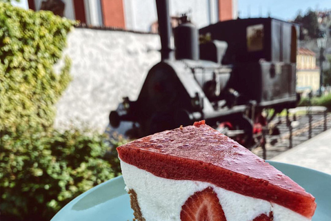 From Prague: Terezin Camp and Bohemian Switzerland Day Trip Terezin, Narnia & Bastei