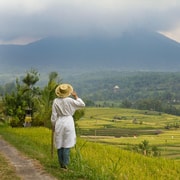Bali: Wanagiri Hidden Hills, Ulun Danu & Jatiluwih Tour