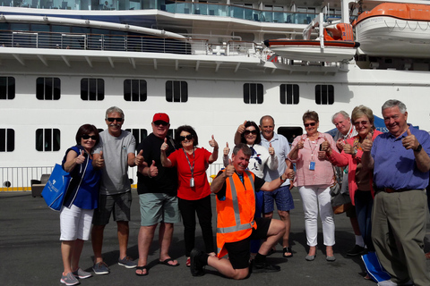 Wellington: City Highlights Guided Tour with Cable Car Ride