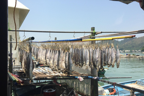 From Hong Kong: Lantau Island Private Car Tour w/ Cable Car Executive Car with Private Cabin