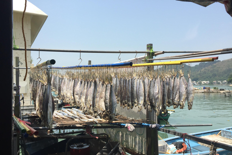 From Hong Kong: Lantau Island Private Car Tour w/ Cable Car Executive Car with Private Cabin