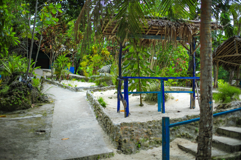 Efate: Private Customizable Island Tour