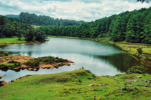 From Bangalore: Majestic Ooty Hill Station Tour 2N/3D
