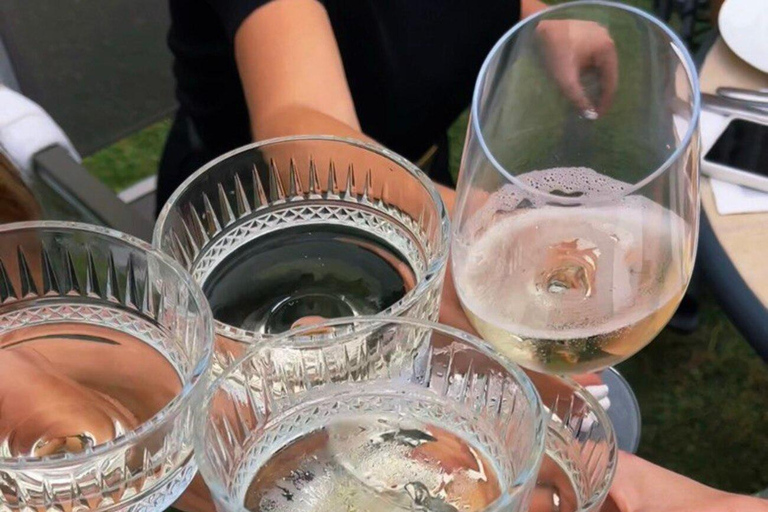 Ljubljana: Wine tasting tour