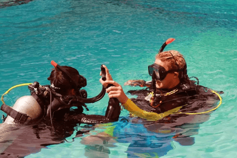 phi phi : prova le immersioni dalla spiaggia per i principianti