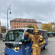 Wrocław: Dwarfs and Sightseeing E-Car Tour