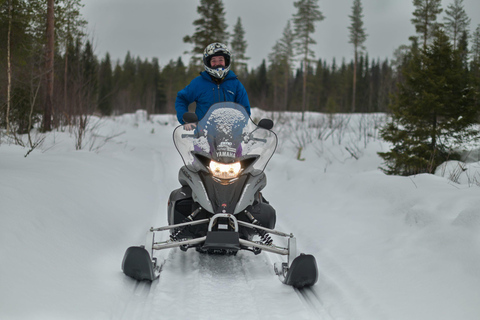 Rovaniemi: Safari guidato in motoslitta nella natura selvaggia e barbecue