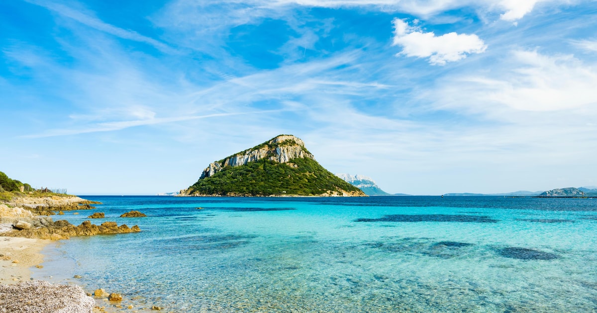 Discovering the Golphin Bay | GetYourGuide