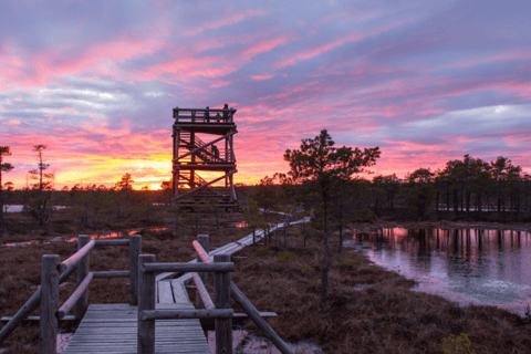 Von Riga aus: Jūrmala und Ķemeri-Nationalpark mit Picknick