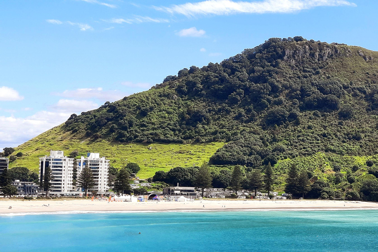 Nova Zelândia: Tour guiado de 17 dias pela Ilha do Norte com acampamento