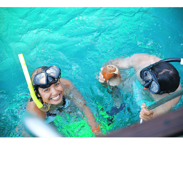 Underwater Sculpture Park Snorkel Adventure GetYourGuide