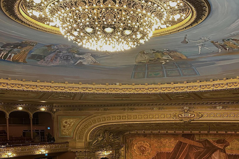 Buenos Aires: Teatro Colón Entry Ticket and Guided Tour Teatro Colón Ticket and Guided Tour in Portuguese