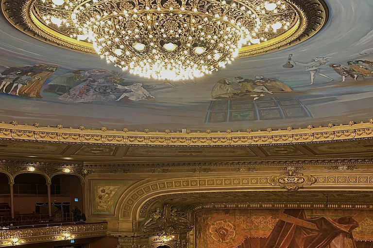 Buenos Aires: Teatro Colón Entry Ticket and Guided Tour Teatro Colón Ticket and Guided Tour in Portuguese