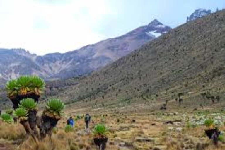 Nairobi: trekking di 2 giorni sulla Via Sirimon del Monte Kenya con trasferimenti