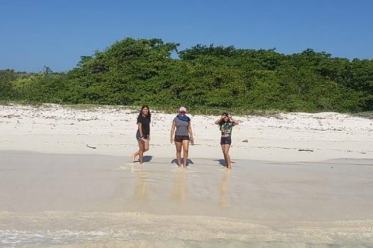 Visite privée : La station Charles Darwin et la plage de Tortuga Bay
