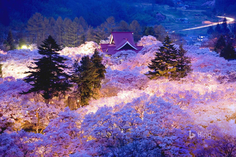 De Tóquio: Nagano, Templo Zenkoji, viagem de 1 dia para os macacos da neve.