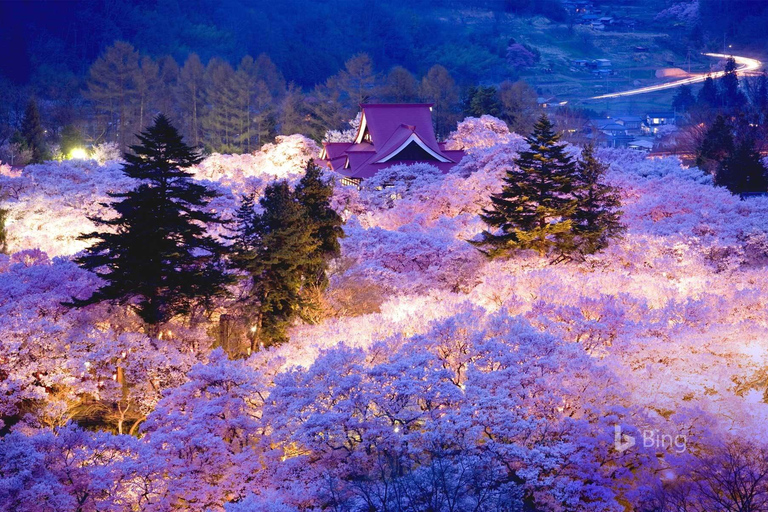 Vanuit Tokio: Nagano, Zenkoji Tempel, Dagtrip SneeuwapenVanuit Tokio: Privé dagtrip naar Nagano, tempel, sneeuwapen