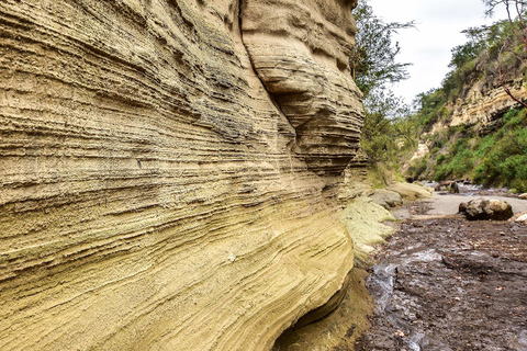 Excursión de un día a Hellsgate y el lago Naivasha desde Nairobi