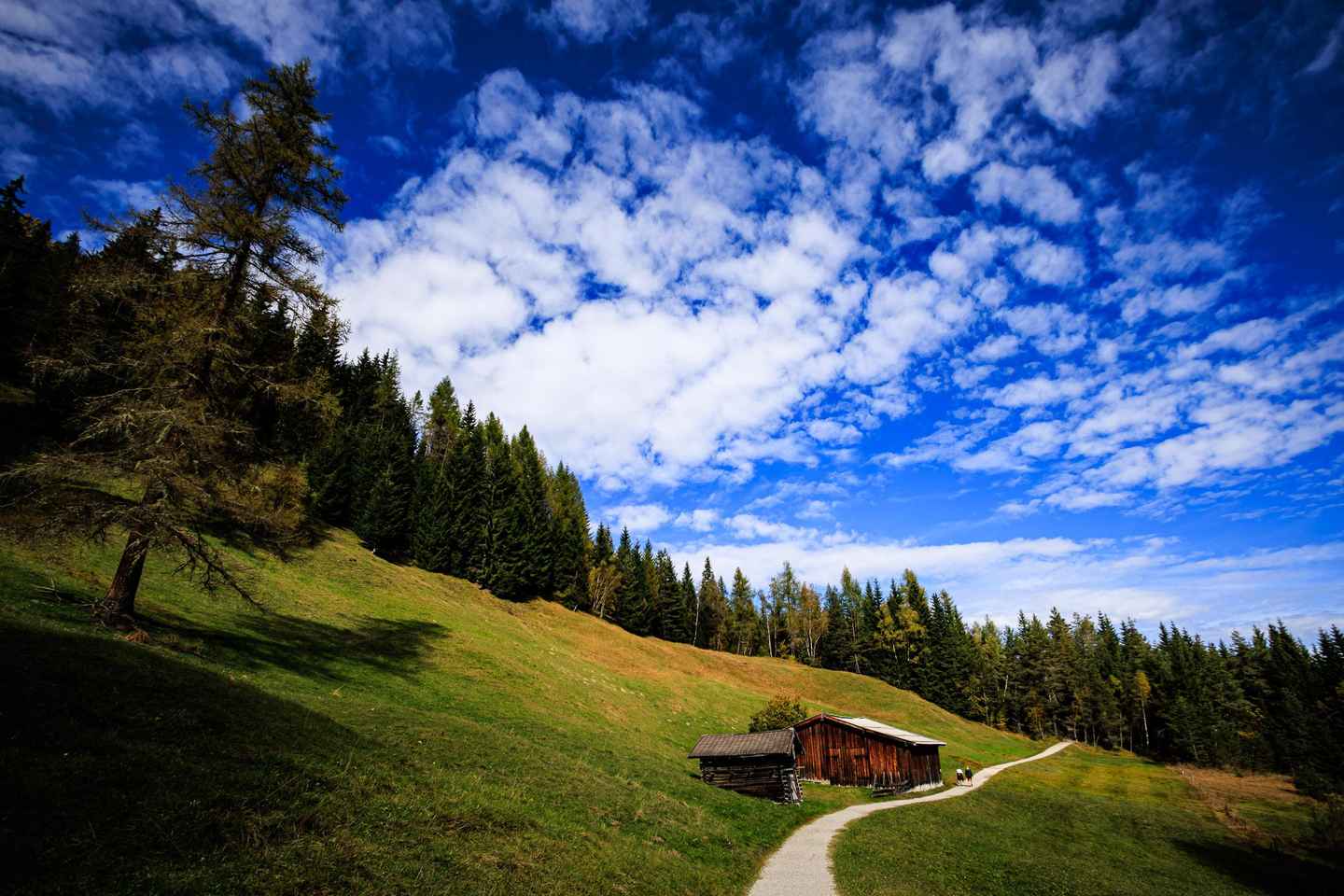Seefeld: Hike to two lakes and up the Brunschkopf - Seefeld: Hike to two lakes and up the Brunschkopf