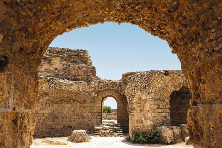 Tunis: Carthage and Sidi Bou Said Tour VIP Hammamet: Tunis, Carthage & Sidi Bou Said Tour