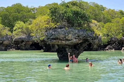 Laguna Blu, Isola di Kwale, Tour delle stelle marine, Tour di snorkeling