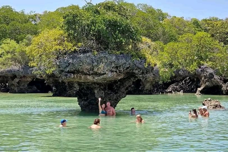 Laguna Blu, Isola di Kwale, Tour delle stelle marine, Tour di snorkeling