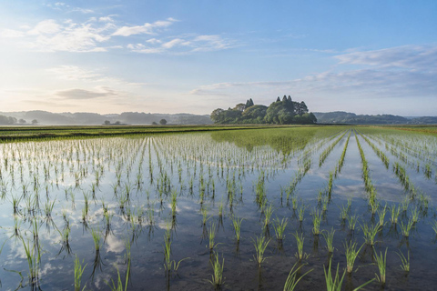 From Tokyo: Sawara Canal Town & Katori Shrine Private Day Tour