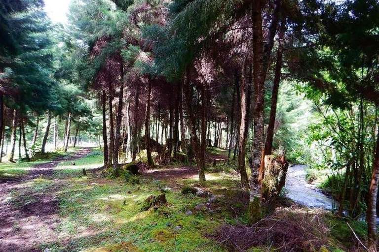 Medellin: Amazing Arvi Natural Reserve