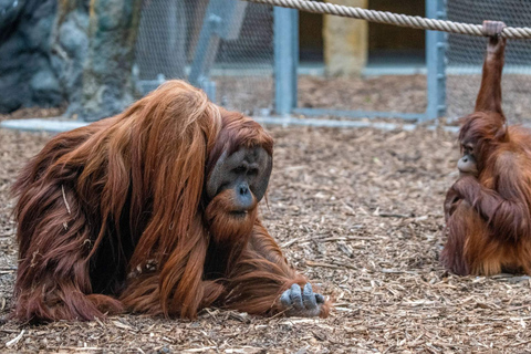 Łódź: City Highlights Private Tour & Orientarium Zoo Visit